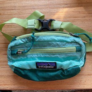 Patagonia fanny pack